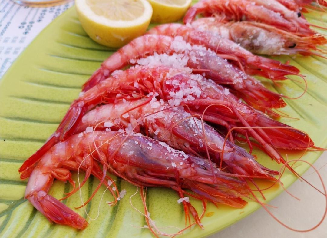 S&H La Malcriada San Juan de los Terreros Exteriör bild