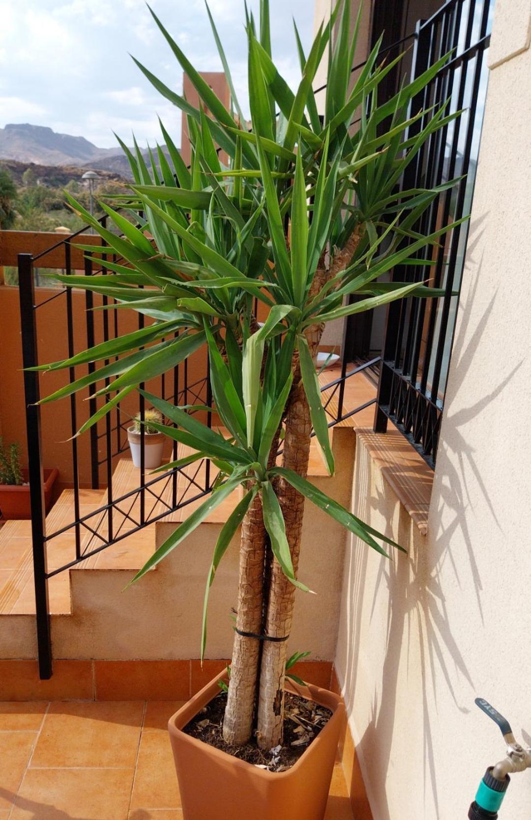 S&H La Malcriada San Juan de los Terreros Exteriör bild